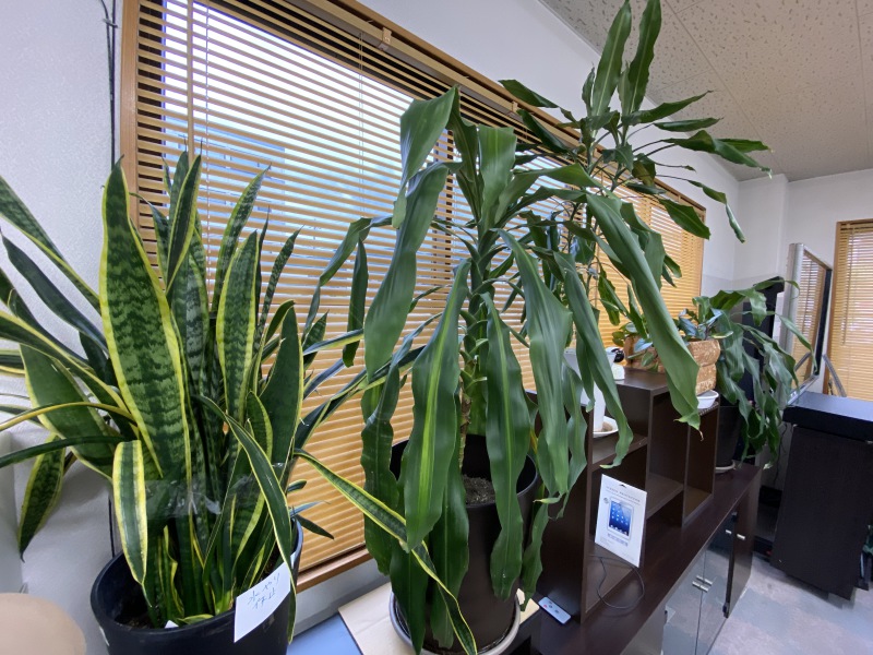 会社の模様替えを行いました